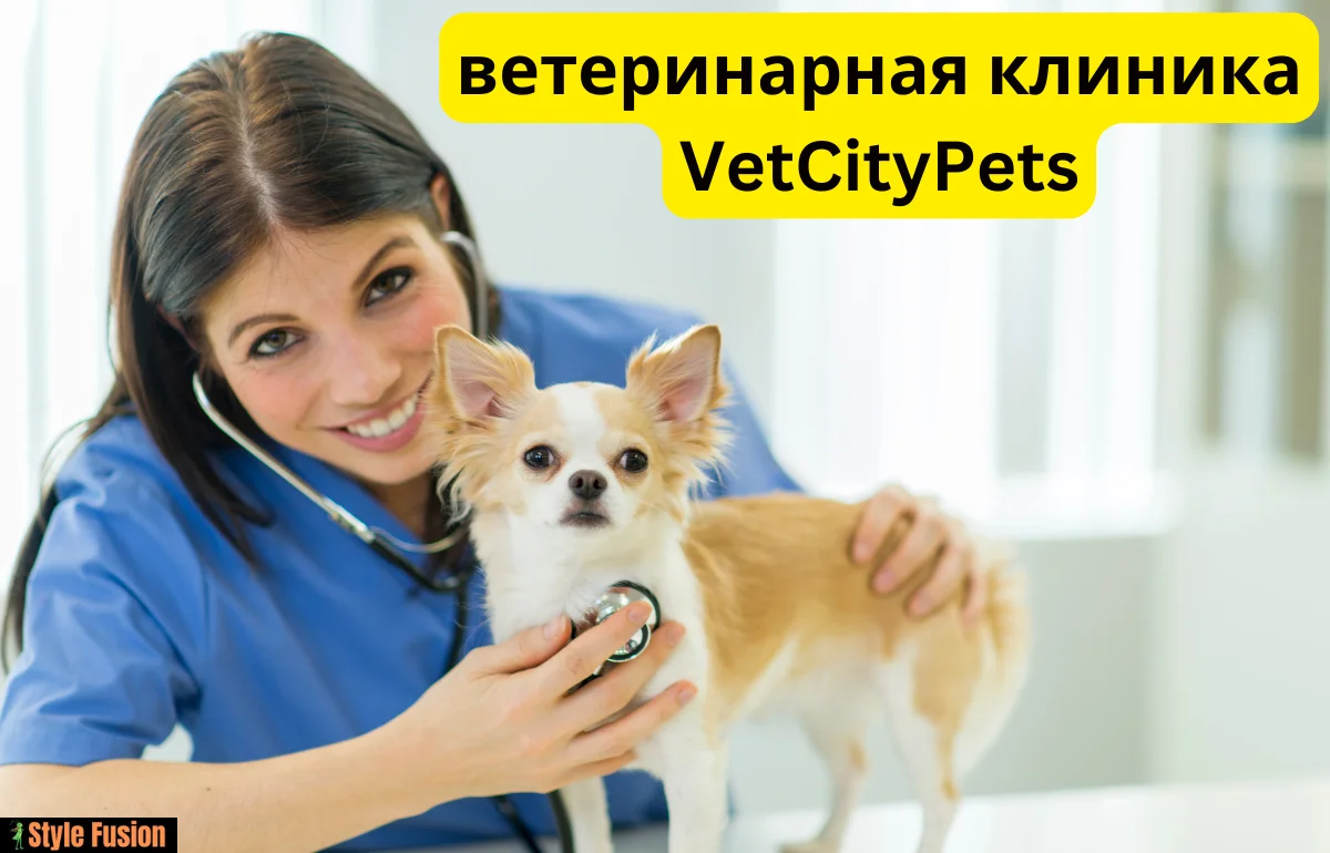 ветеринарная клиника VetCityPets